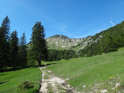 Bergtour Ochsenälpleskopf (1905m) und Kreuzkopf (1909m)