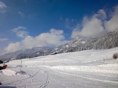 Skitour Rangiswanger Horn (1616m) und Großer Ochsenkopf (1662m)