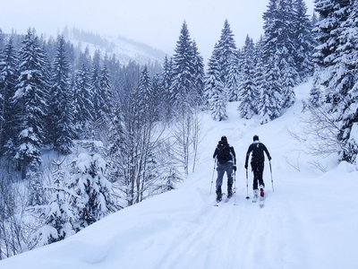 Pulver-Skitour Ponten (2045m)