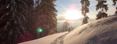Skitour Wannenkopf (1712m) - No friends on powder days