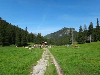Bergtour Ochsenälpleskopf (1905m) und Kreuzkopf (1909m)