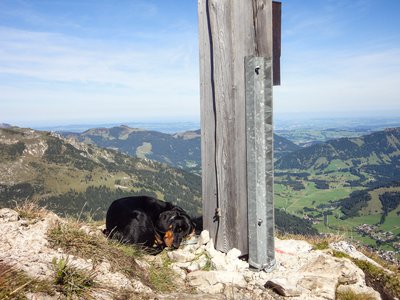 Bergtour Rohnenspitze - Zirleseck